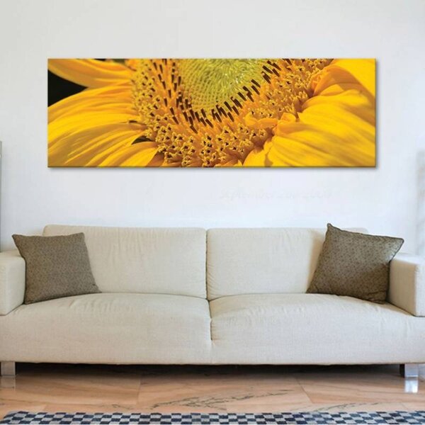 70x40 cm - Napraforgó makró vászonkép