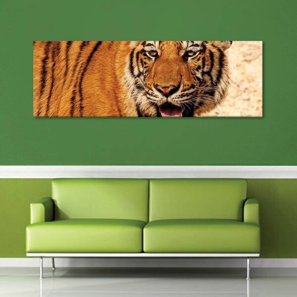 70x40 cm - Nyugodt tigris vászonkép