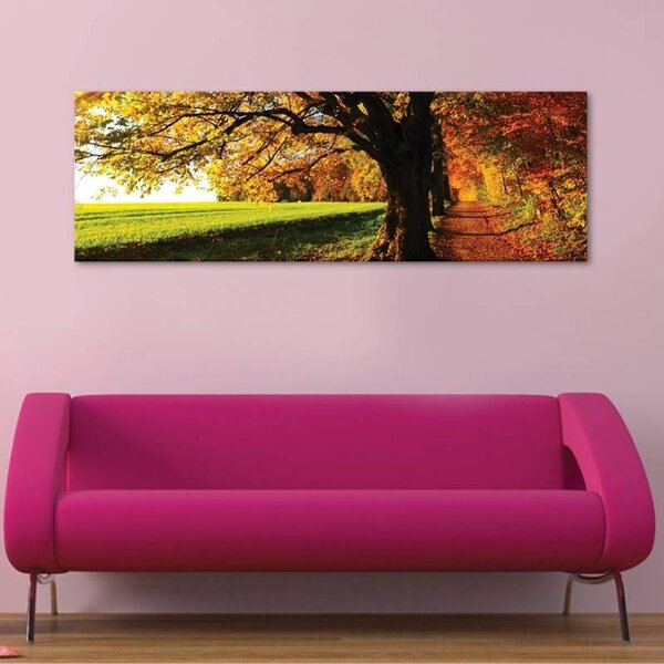 70x40 cm - Erdei út vászonkép