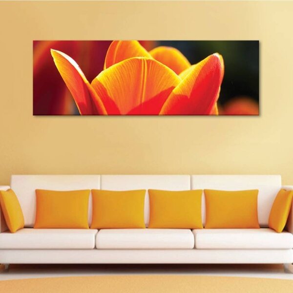 70x40 cm - Nyíladozó tulipán vászonkép