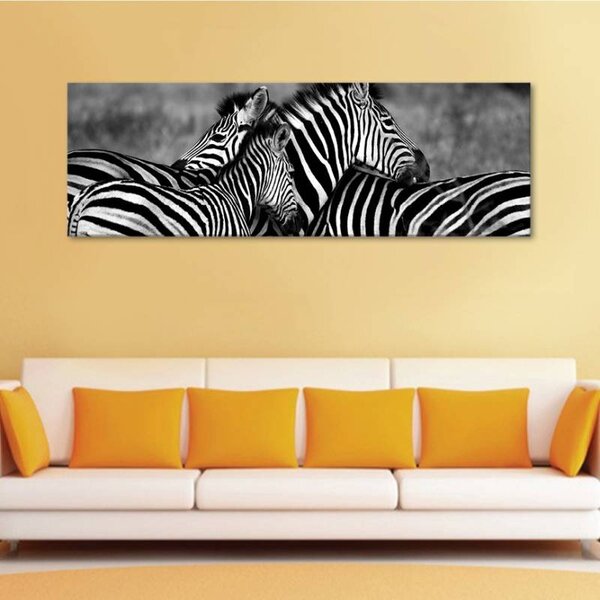 70x40 cm - Zebra család vászonkép