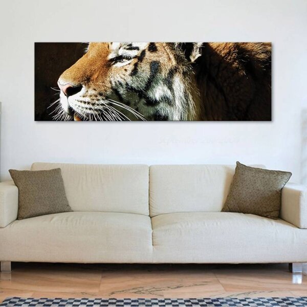 70x40 cm - Erőteljes tigris vászonkép