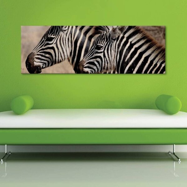 70x40 cm - Zebra barátság vászonkép