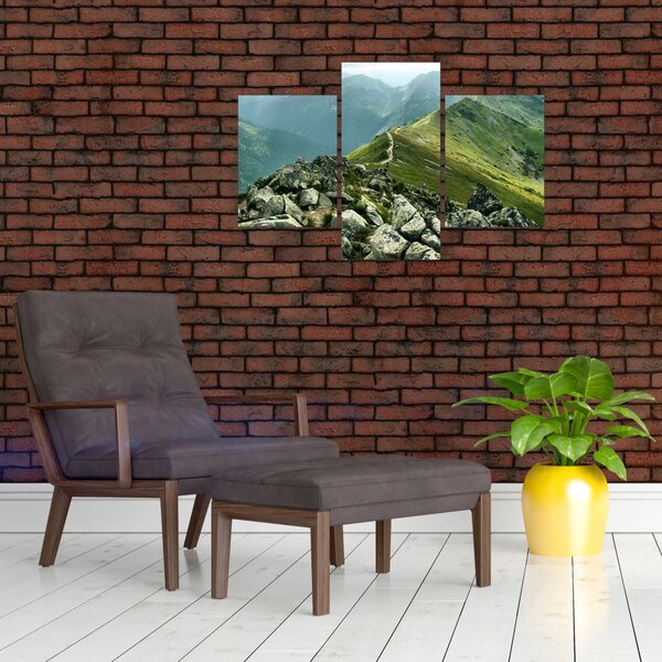 Kép - Hegyi táj (90x60 cm)