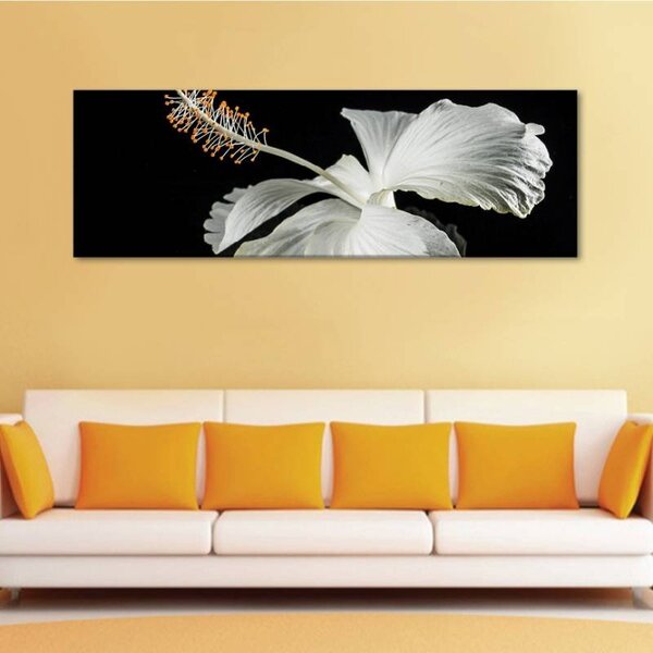 70x40 cm - Fehér hibiscus vászonkép