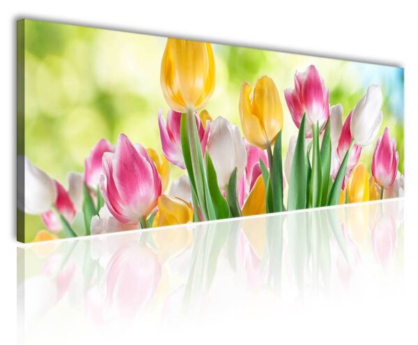 70x40 cm - Mosolygó tulipánok vászonkép