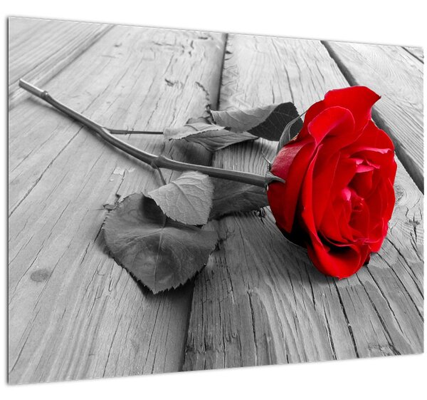 Egy vörös rózsa képe (üvegen) (70x50 cm)