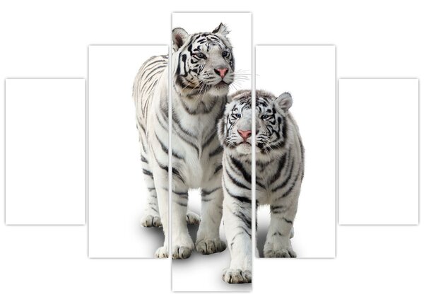 Kép - A fehér tigris (150x105 cm)
