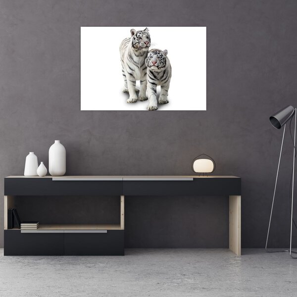 Kép - A fehér tigris (90x60 cm)