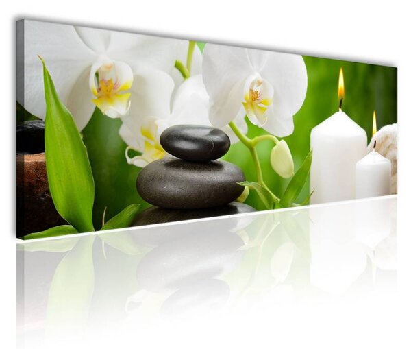 70x40 cm - Fehér orchidea feng shui vászonkép