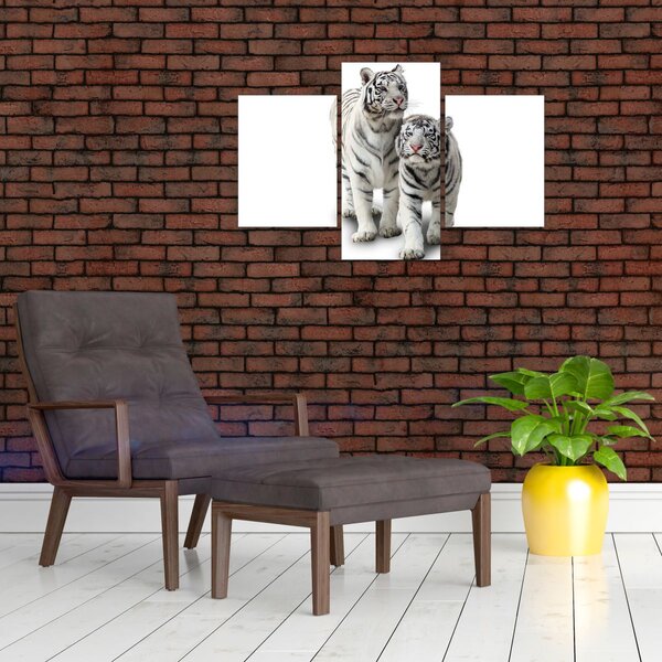 Kép - A fehér tigris (90x60 cm)