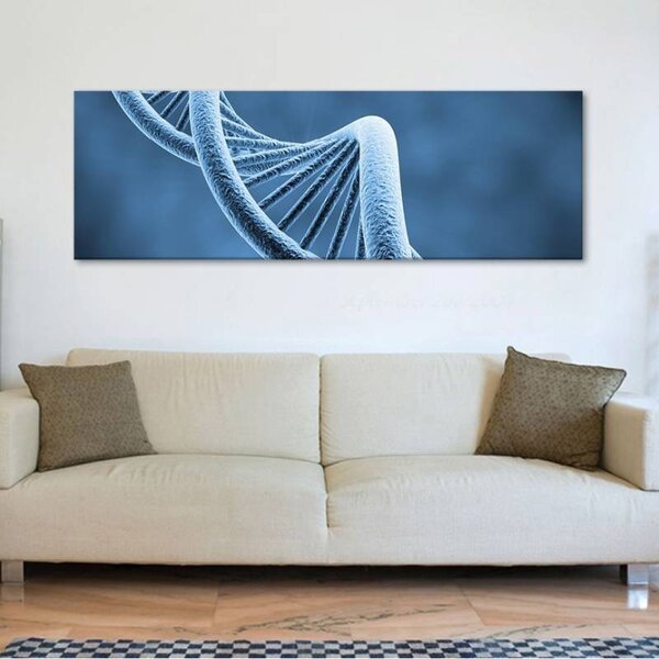 70x40 cm - DNS spirál vászonkép