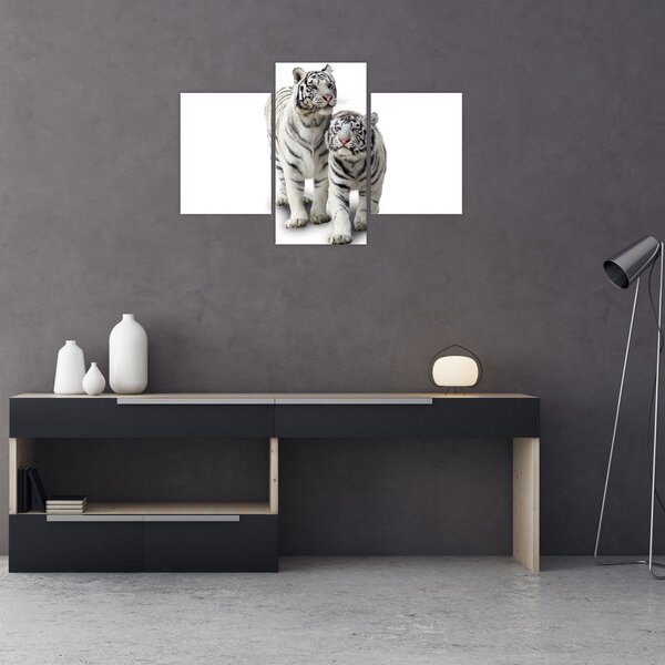 Kép - A fehér tigris (90x60 cm)