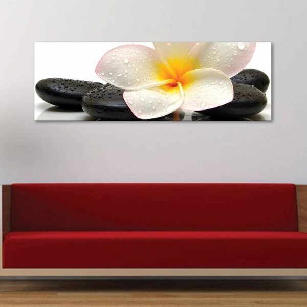 70x40 cm - Orchidea és fekete kövek vászonkép