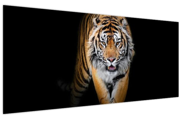 Kép - Tigris (120x50 cm)