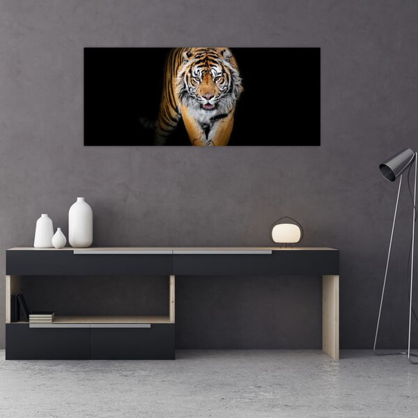 Kép - Tigris (120x50 cm)