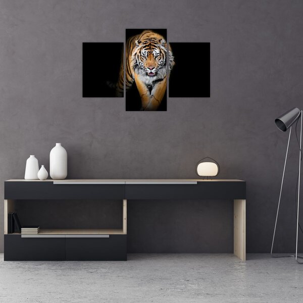 Kép - Tigris (90x60 cm)