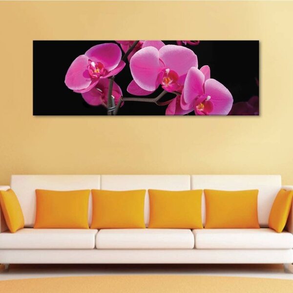 70x40 cm - Rózsaszín orchidea vászonkép