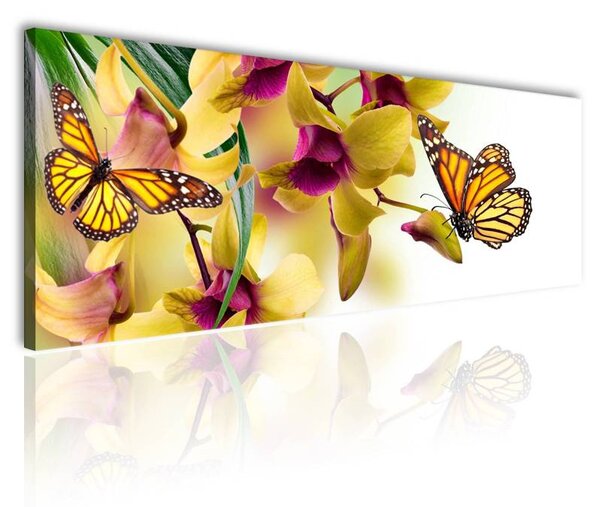 70x40 cm - Orchidea és pillangó vászonkép