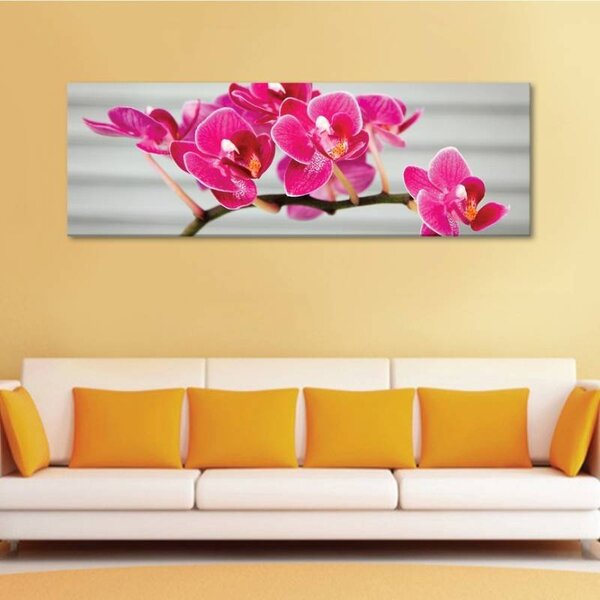 70x40 cm - Rózsaszín orchidea vászonkép