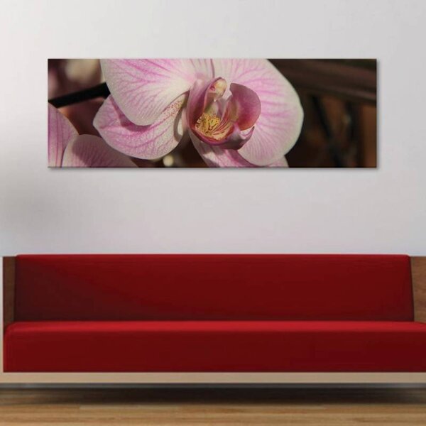 70x40 cm - Közeli orchidea vászonkép