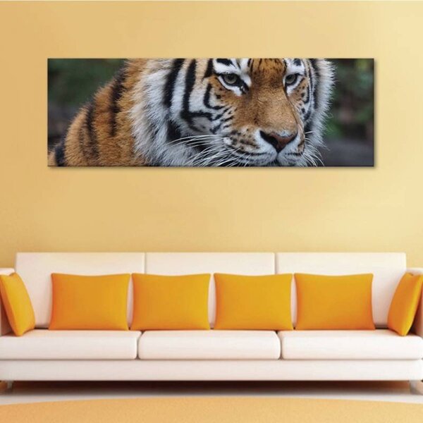 70x40 cm - Tigris vászonkép