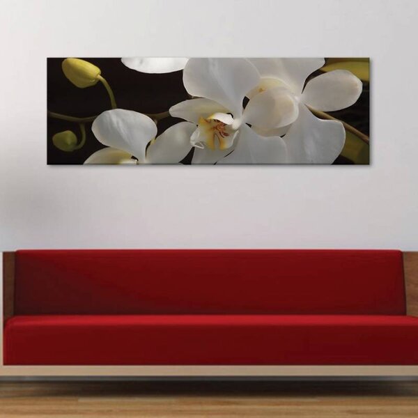 70x40 cm - Fehér orchideák vászonkép