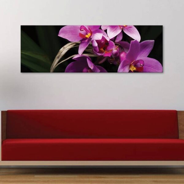 70x40 cm - Élő orchidea vászonkép