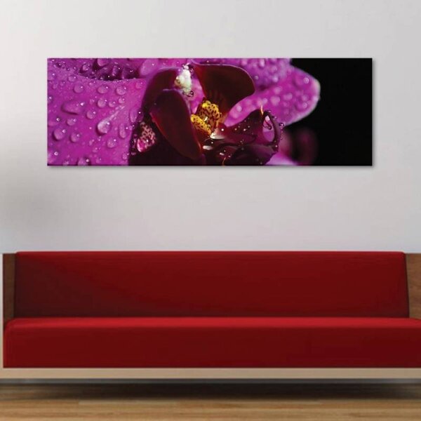 70x40 cm - Orchidea és vízcsepp vászonkép