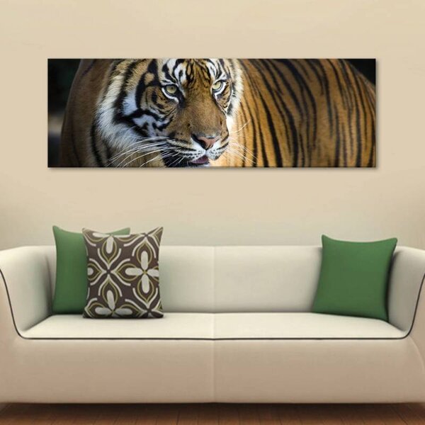 70x40 cm - A tigris vászonkép
