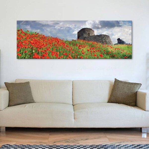 70x40 cm - Pipacsok és vár rom vászonkép