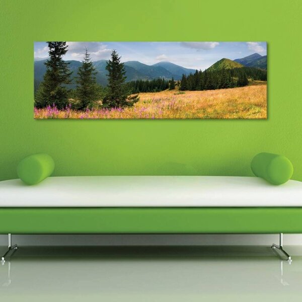 70x40 cm - Alpesi mezők vászonkép