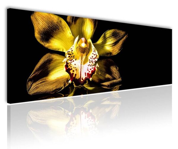 70x40 cm - Arany orchidea vászonkép