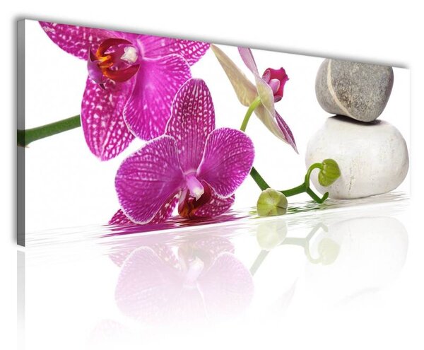 70x40 cm - Orchidea és spa vászonkép