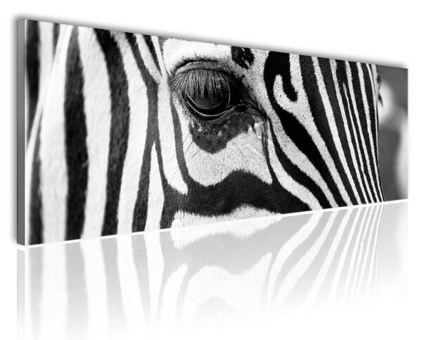 70x40 cm - Zebra szemek vászonkép