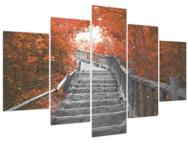 Kép - Lépcsők a természetben, narancssárga (150x105 cm)