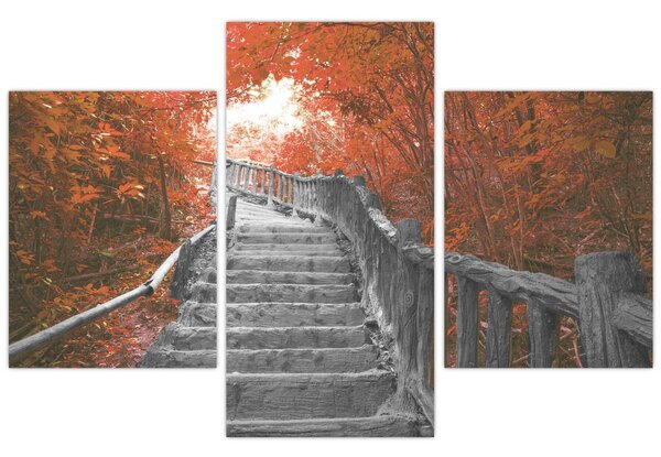 Kép - Lépcsők a természetben, narancssárga (90x60 cm)