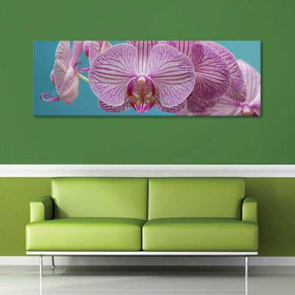 70x40 cm - Orchidea virága vászonkép