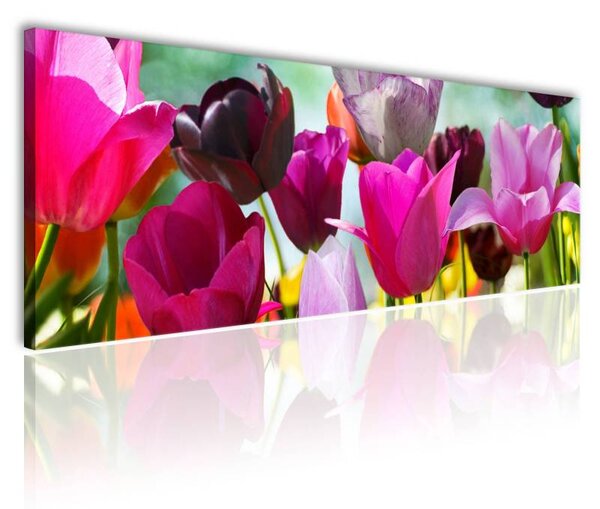 70x40 cm - Holland tulipánok vászonkép