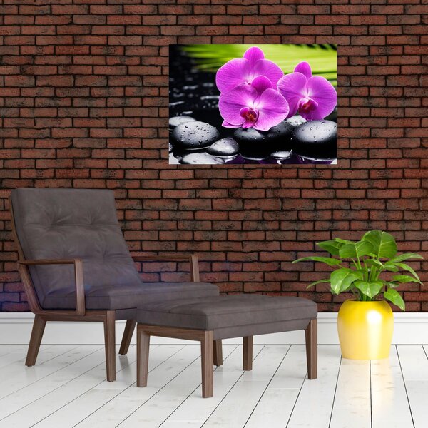 Kép - Orchideák (70x50 cm)
