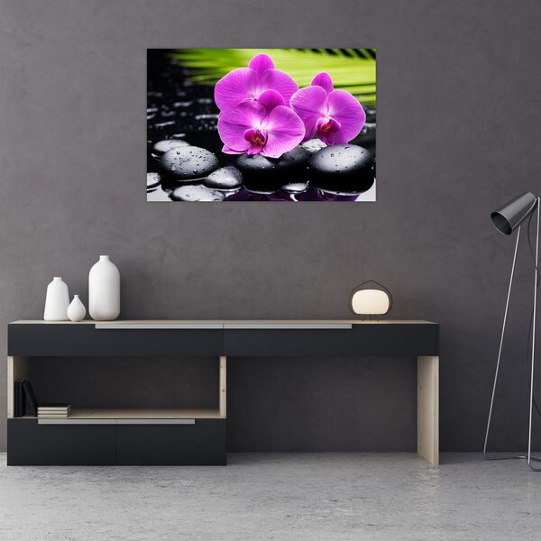Kép - Orchideák (90x60 cm)