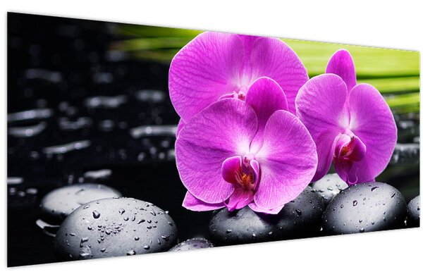 Kép - Orchideák (120x50 cm)