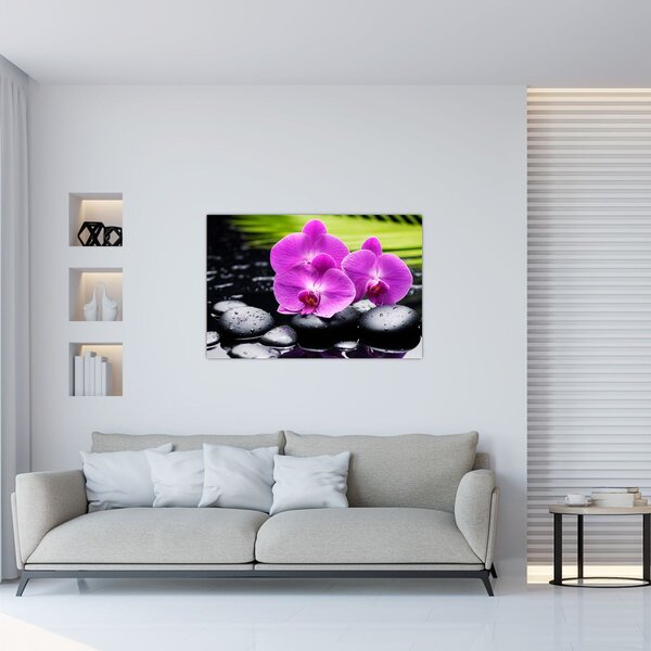 Kép - Orchideák (90x60 cm)