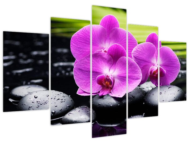 Kép - Orchideák (150x105 cm)