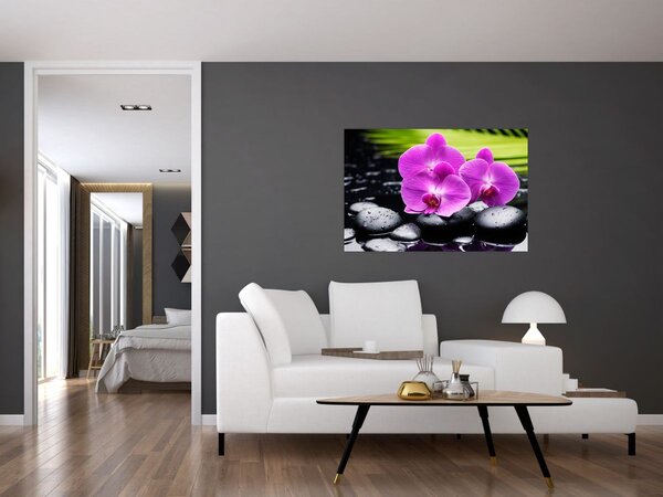 Kép - Orchideák (90x60 cm)