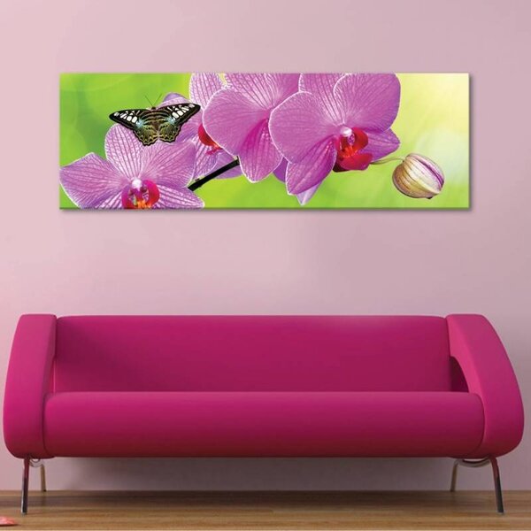 70x40 cm - Orchidea és pillangó vászonkép