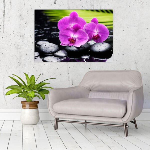 Kép - Orchideák (90x60 cm)