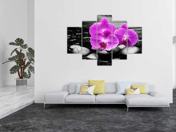 Kép - Lila orchideák (150x105 cm)