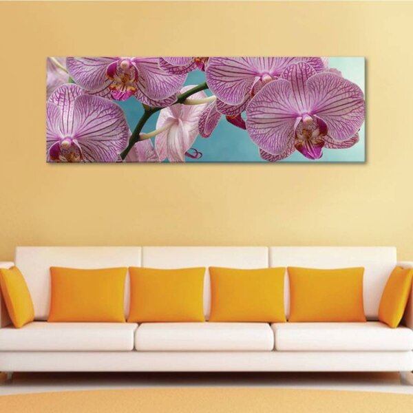 70x40 cm - Csodálatos orchidea vászonkép