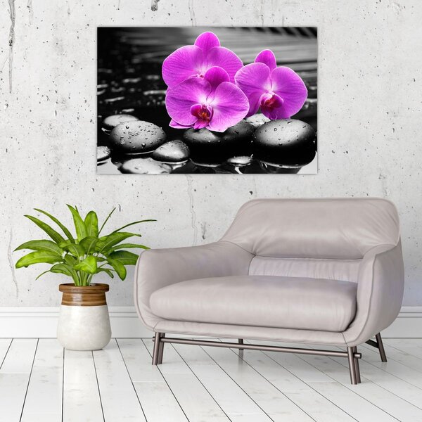 Kép - Lila orchideák (90x60 cm)